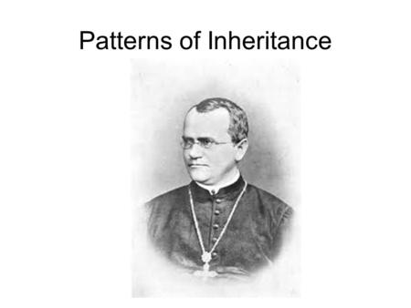 Patterns of Inheritance. About Mendel Mendel grew up on his parents′ small farm in a region of Austria that is now part of the Czech Republic. In 1843,
