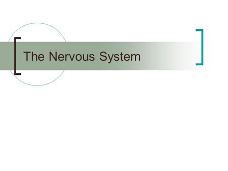 The Nervous System. Central Nervous System (CNS) – brain and spinal cord Peripheral Nervous System (PNS) – nerves that communicate to the rest of the.