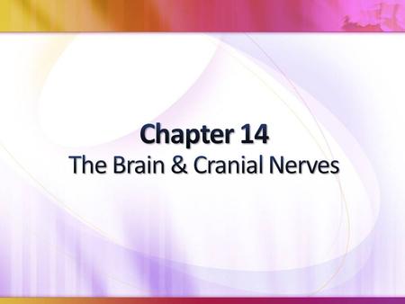 Major Brain Regions & Landmarks Cerebrum Cerebrum performs higher mental functions Neural cortex cerebral cortex Neural cortex (gray matter) covered by.