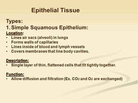 Epithelial Tissue Types: Simple Squamous Epithelium: Location: