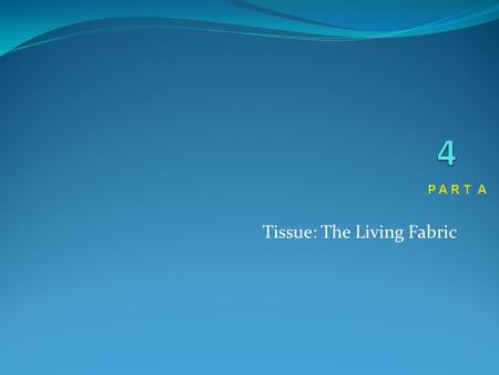 Tissue: The Living Fabric P A R T A. Tissues Groups of cells similar in structure and function The four types of tissues 1. Epithelial 2. Connective 3.
