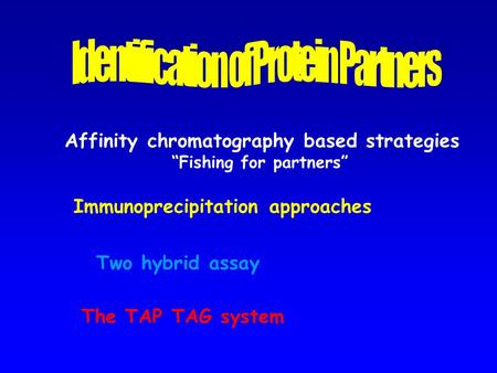 Affinity chromatography based strategies “Fishing for partners” Immunoprecipitation approaches The TAP TAG system Two hybrid assay.