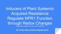 Inducers of Plant Systemic Acquired Resistance Regulate NPR1 Function through Redox Changes By Tommy Grgic and Emily Allegretto-Smith Zhonglin Mou, Weihua.