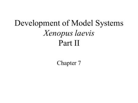 Development of Model Systems Xenopus laevis Part II