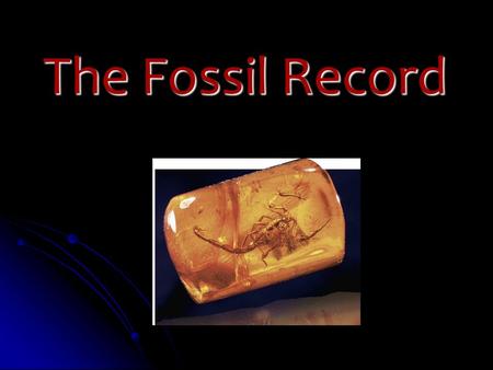 Slide 1 of 40 The Fossil Record. Slide 2 of 40 Fossils and Ancient Life What are fossils? What are fossils? Preserved remains of ancient organisms Preserved.