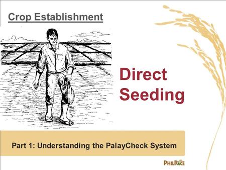 Crop Establishment Direct Seeding Part 1: Understanding the PalayCheck System.