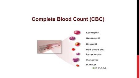 Complete Blood Count (CBC)