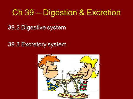 Ch 39 – Digestion & Excretion