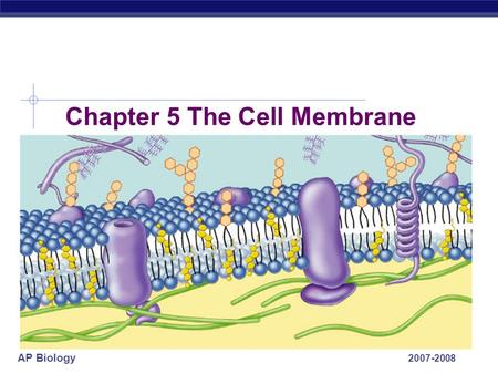 AP Biology 2007-2008 Chapter 5 The Cell Membrane.