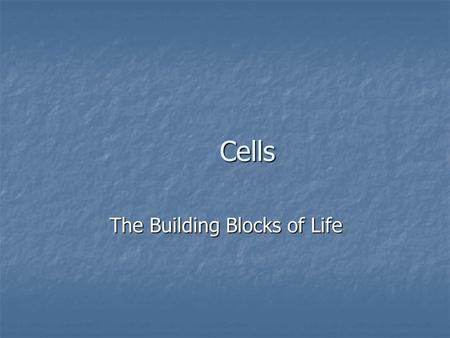 Cells The Building Blocks of Life. A cell A cell.