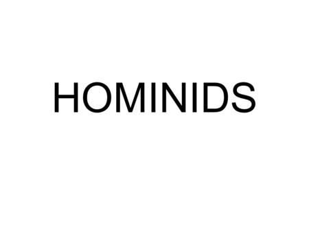 HOMINIDS. Australopithecus Afarensis “Lucy”