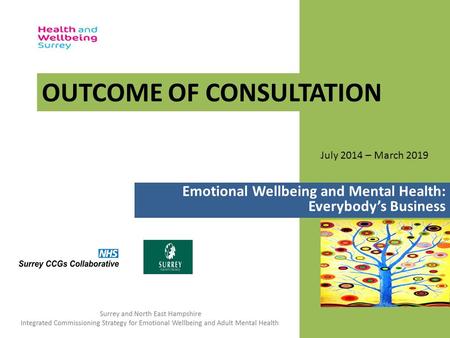 July 2014 – March 2019 Emotional Wellbeing and Mental Health: Everybody’s Business OUTCOME OF CONSULTATION.