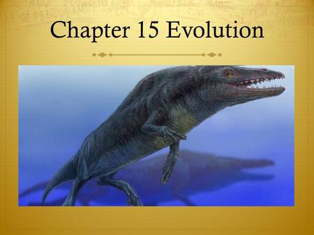Chapter 15 Evolution. Chapter 15 study guide  Key Vocabulary:  Adaptation  Natural selection  Homologous structure  Analogous structure  Vestigial.