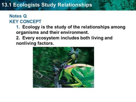 13.1 Ecologists Study Relationships Notes Q KEY CONCEPT 1. Ecology is the study of the relationships among organisms and their environment. 2. Every ecosystem.