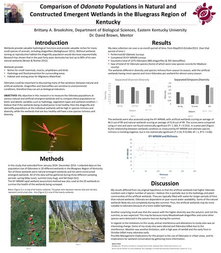 Comparison of Odonata Populations in Natural and Constructed Emergent Wetlands in the Bluegrass Region of Kentucky Introduction Wetlands provide valuable.