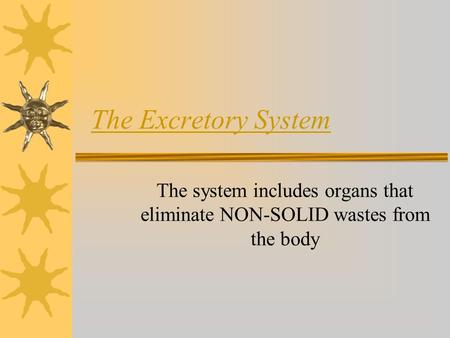 The Excretory System The system includes organs that eliminate NON-SOLID wastes from the body.