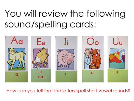 You will review the following sound/spelling cards: How can you tell that the letters spell short vowel sounds?