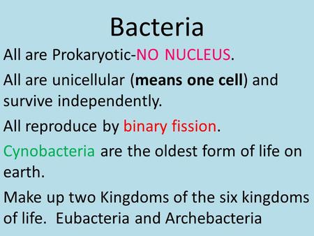 Bacteria All are Prokaryotic-NO NUCLEUS. All are unicellular (means one cell) and survive independently. All reproduce by binary fission. Cynobacteria.