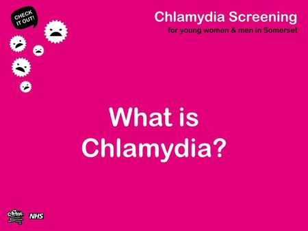 What is Chlamydia?. Chlamydia Bacterial sexually transmitted infection (STI) Most common STI throughout the world 1 in 10 sexually active 15 – 25 years.
