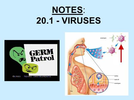 1 NOTES: 20.1 - VIRUSES. 2  Vocabulary –Virus –Capsid –Lytic cycle –Lysogenic cycle –Retrovirus  Key Concepts –What is a virus? –How do viruses reproduce?