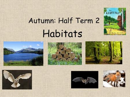 Autumn: Half Term 2 Habitats. Literacy We will be learning the story of the Gruffalo and using this to help us with our own descriptive writing. We will.