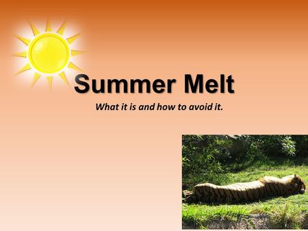 What it is and how to avoid it. Summer Melt. Summer Melt is the phenomenon when seemingly college-intending students fail to enroll in college the fall.