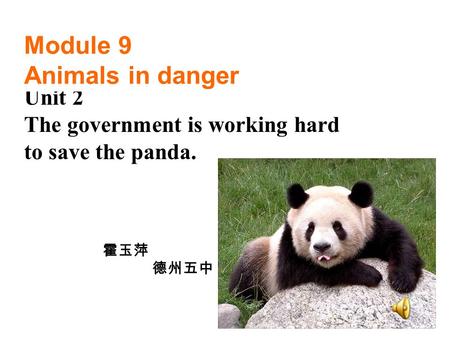 Unit 2 The government is working hard to save the panda. Module 9 Animals in danger 霍玉萍 德州五中.