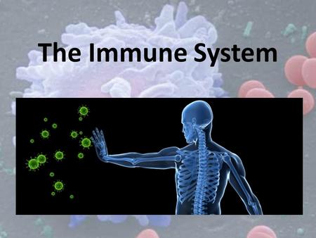 The Immune System. Before the 1900’s, no one knew what caused sickness and infection Most people thought evil spirits, swamp gas, or bad luck caused disease.