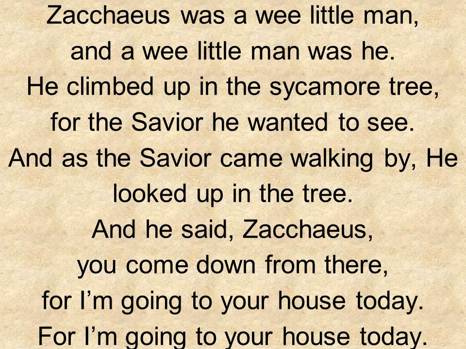 zacchaeus was a wee little man lyrics