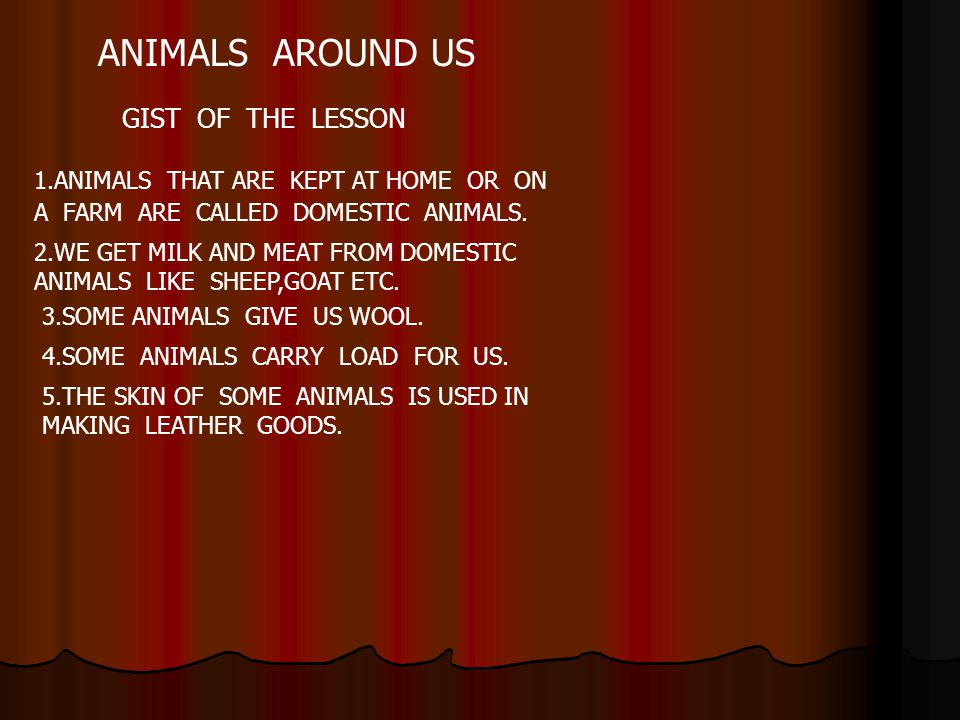 ANIMALS AROUND US GIST OF THE LESSON - ppt video online download ANIMALS AROUND US GIST OF THE LESSON - ppt video online download