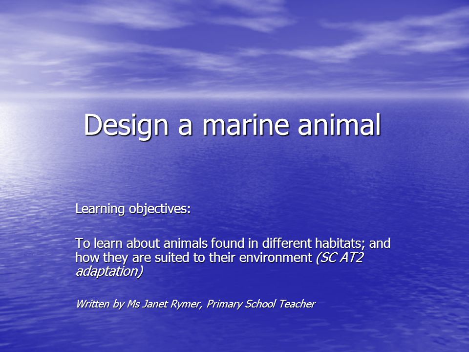 Design a marine animal Learning objectives: - ppt download