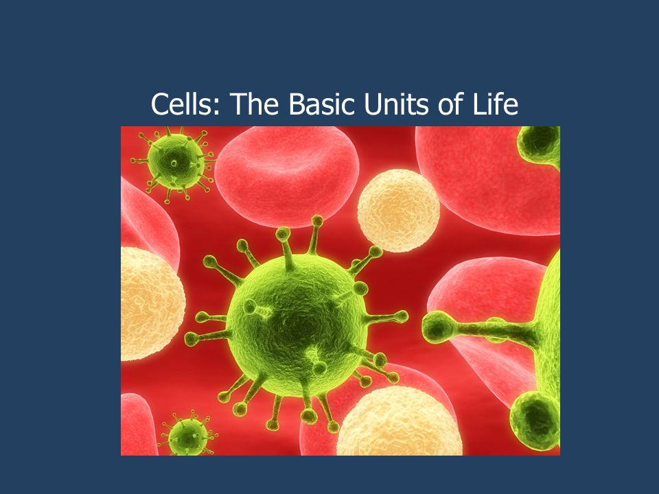 what is the basic unit of life?