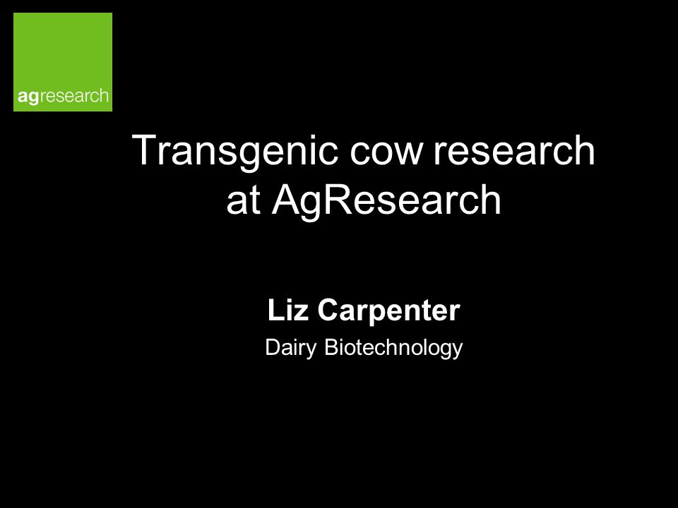 agresearch transgenic cows