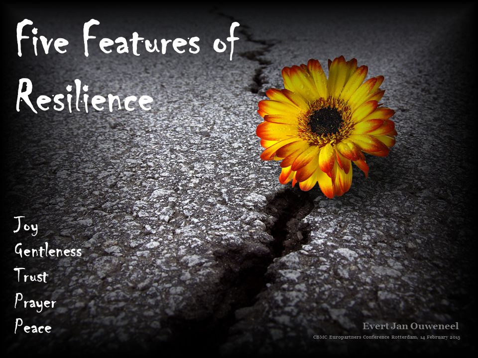 Five Features of Resilience Joy Gentleness Trust Prayer Peace Evert Jan Ouweneel CBMC Europartners Conference Rotterdam, February ppt