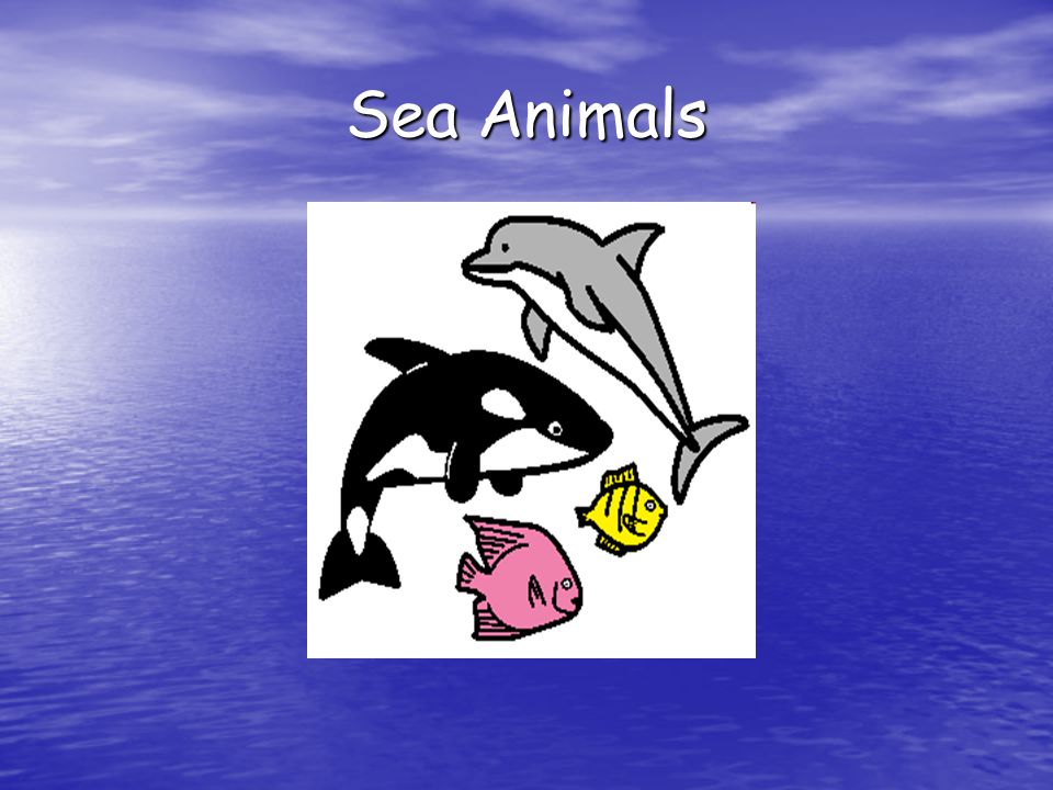 Sea Animals. - ppt video online download