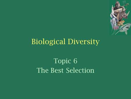Biological Diversity Topic 6 The Best Selection. Do you have a cat or a dog at home? Do you own a pet rabbit? –These animals are considered Domestic.
