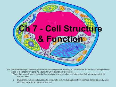 Ch 7 - Cell Structure & Function The fundamental life processes of plants and animals depend on a variety of chemical reactions that occur in specialized.
