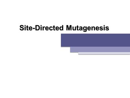 Site-Directed Mutagenesis