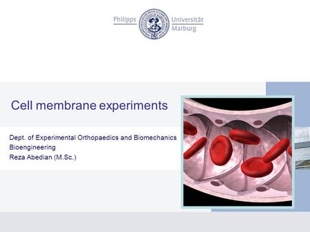 Cell membrane experiments Dept. of Experimental Orthopaedics and Biomechanics Bioengineering Reza Abedian (M.Sc.)