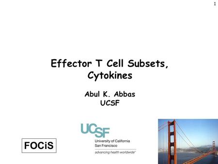 Effector T Cell Subsets, Cytokines