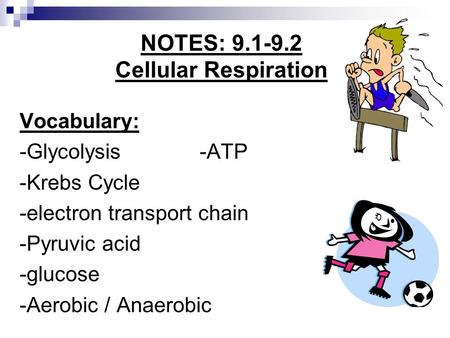 Vocabulary: -Glycolysis-ATP -Krebs Cycle -electron transport chain -Pyruvic acid -glucose -Aerobic / Anaerobic NOTES: 9.1-9.2 Cellular Respiration.