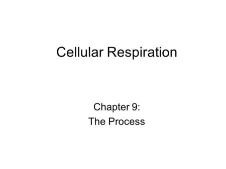 Cellular Respiration Chapter 9: The Process. Objectives Understand that cellular respiration is a series of coupled metabolic processes Describe the role.