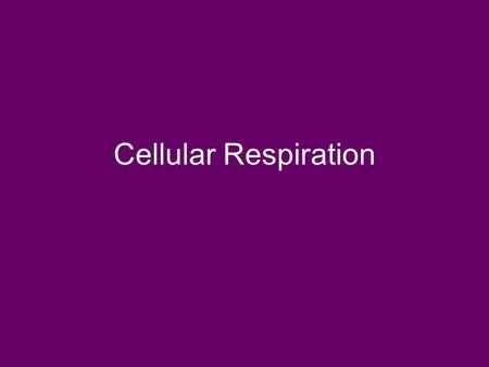 Cellular Respiration. Oxidation/Reduction What is an oxidation reaction? _________________________ What is a reduction reaction? __________________________.