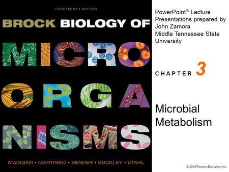 3 Microbial Metabolism.