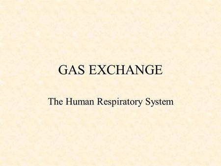 GAS EXCHANGE The Human Respiratory System. Are the human lungs identical? No, the right lung is shorter than the left by 1 inch; however, its total capacity.