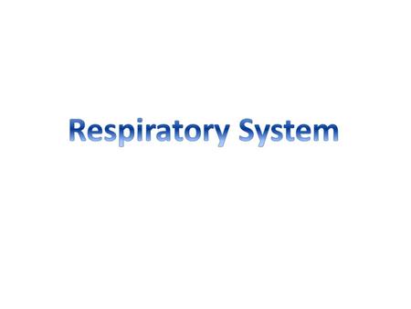 Organization of the Respiratory System The upper respiratory system consists of the nose, nasal cavity, paranasal sinuses, and pharynx (throat). These.
