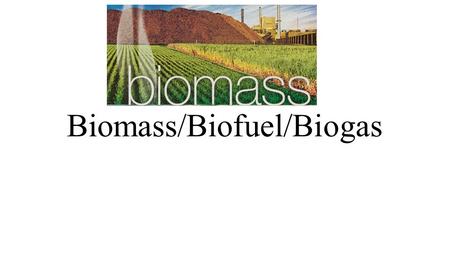 Biomass/Biofuel/Biogas