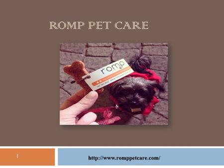 ROMP PET CARE 1  It is very essential that dogs receive physical and mental stimulation to make them happy. Dogs left on their.