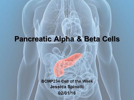 Pancreatic Alpha & Beta Cells Pancreatic Alpha & Beta Cells BCMP234 Cell of the Week Jessica Spinelli 02/01/16.