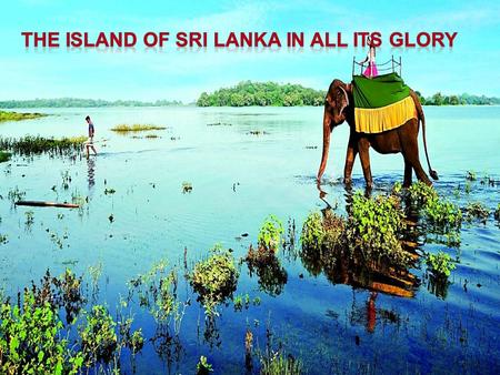 The Island of Sri Lanka in All its Glory